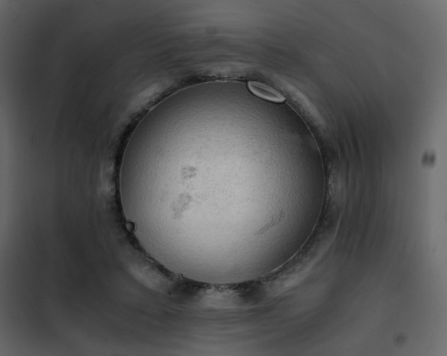 X0000102520403200808081432