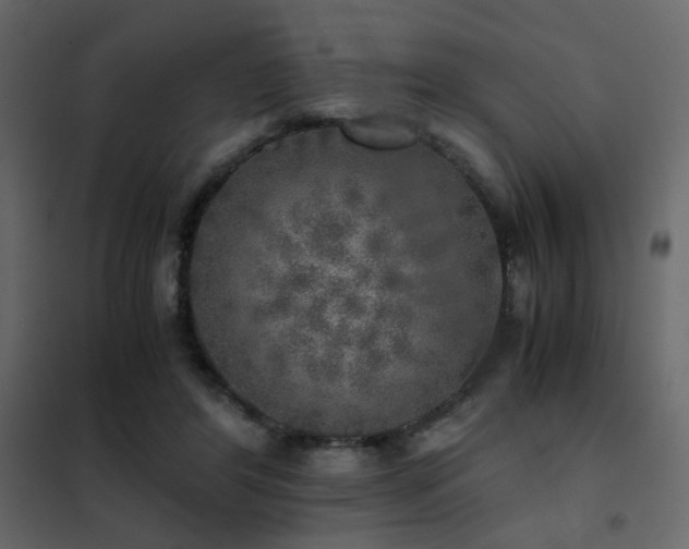 X0000102520404200808081432