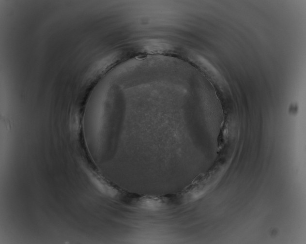 X0000102520405200808081432