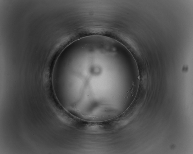 X0000102520407200808081432