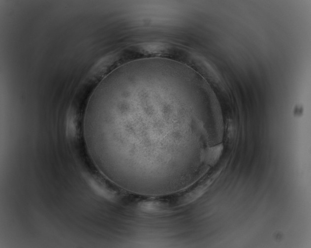 X0000102520408200808081432