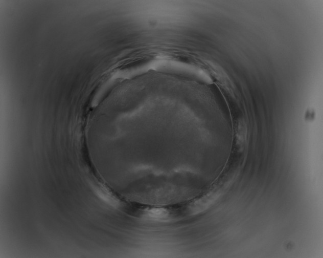 X0000102520409200808081432