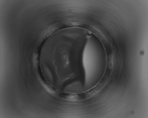 X0000102520410200808081432