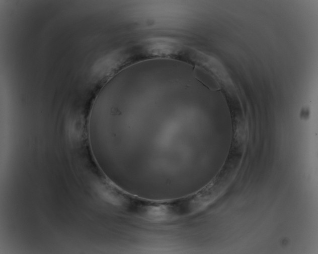 X0000102520411200808081432