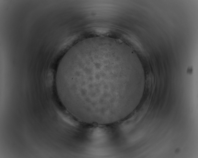 X0000102520412200808081432