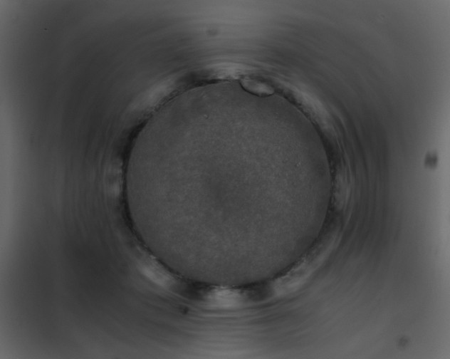 X0000102520413200808081432