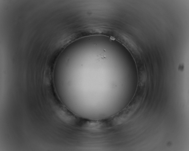 X0000102520414200808081432