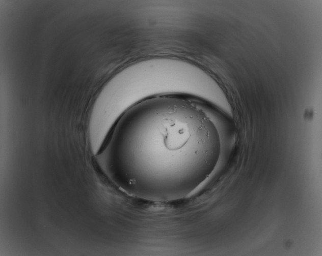 X0000102520415200808081432