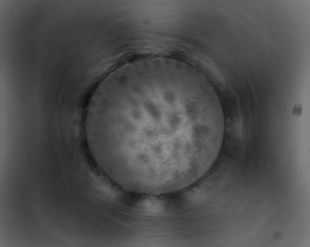 X0000102520416200808081432