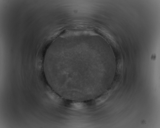 X0000102520417200808081432