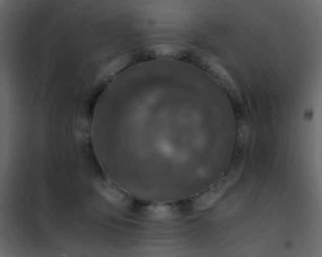 X0000102520419200808081432