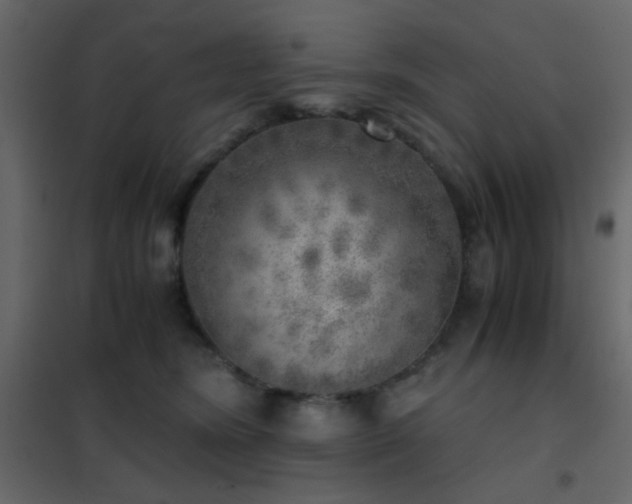 X0000102520420200808081432