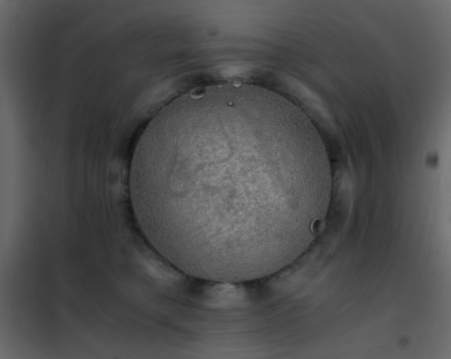 X0000102520421200808081432