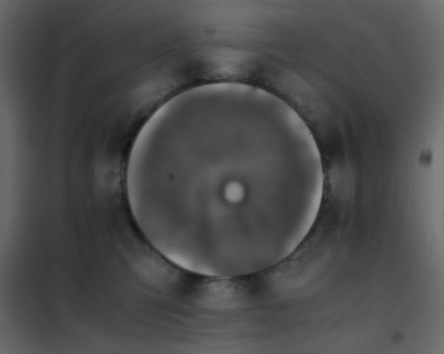 X0000102520423200808081432