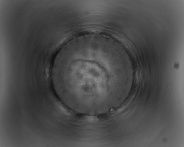 X0000102520424200808081432