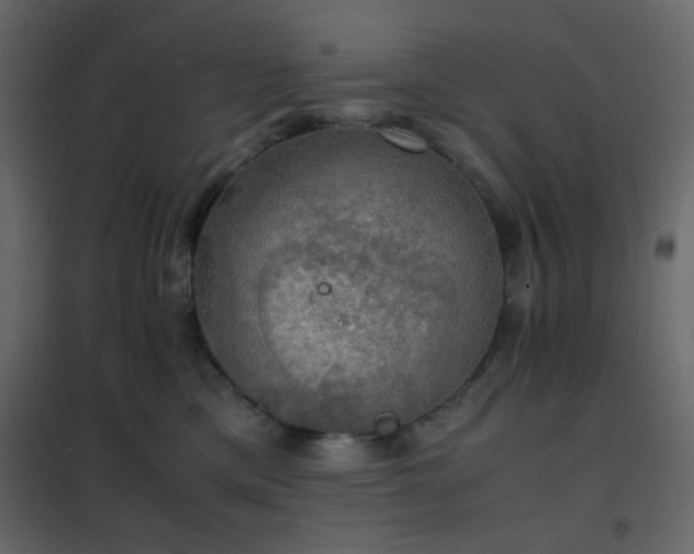 X0000102520425200808081432