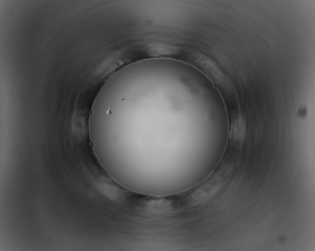 X0000102520426200808081432