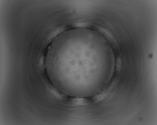 X0000102520428200808081432