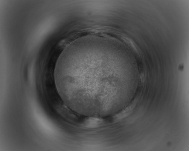 X0000102520429200808081432