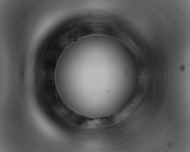 X0000102520430200808081432