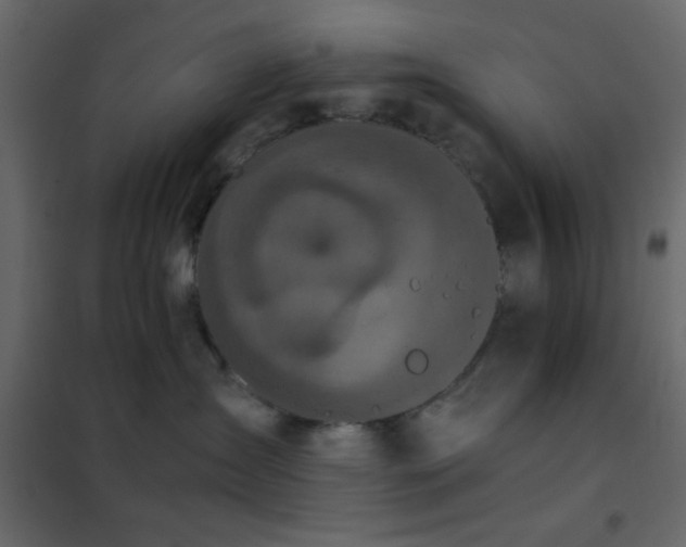 X0000102520431200808081432