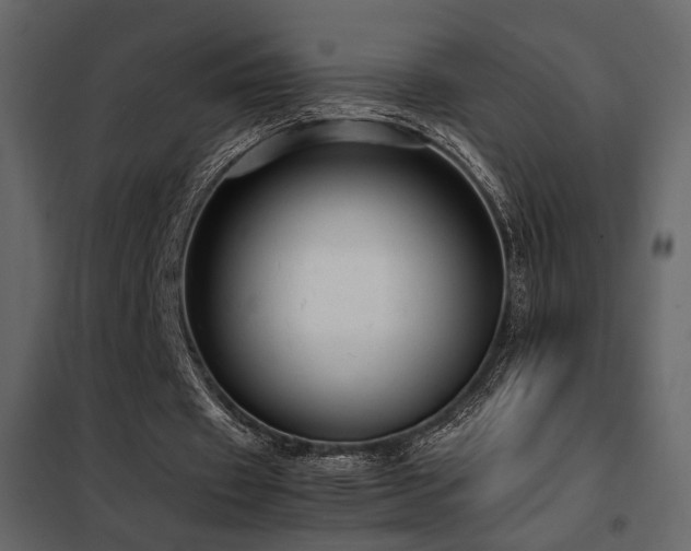 X0000102520433200808081431