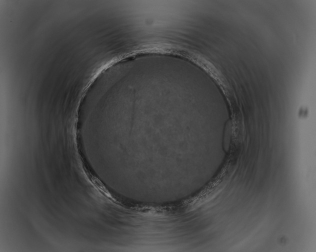 X0000102520434200808081431