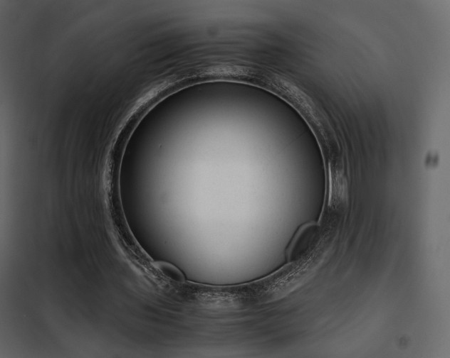 X0000102520435200808081431