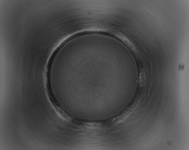 X0000102520436200808081431