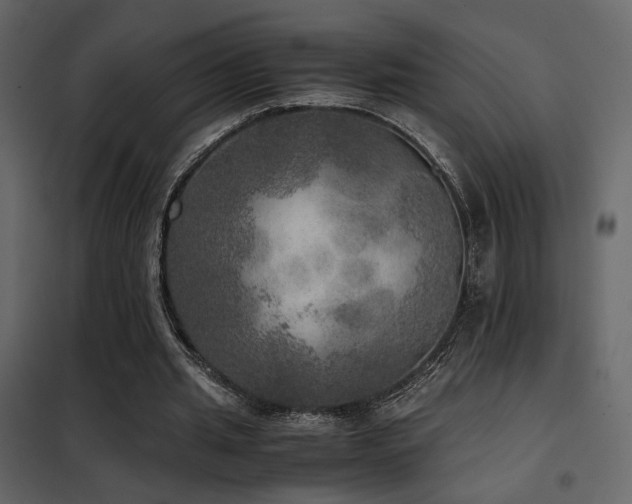 X0000102520437200808081431