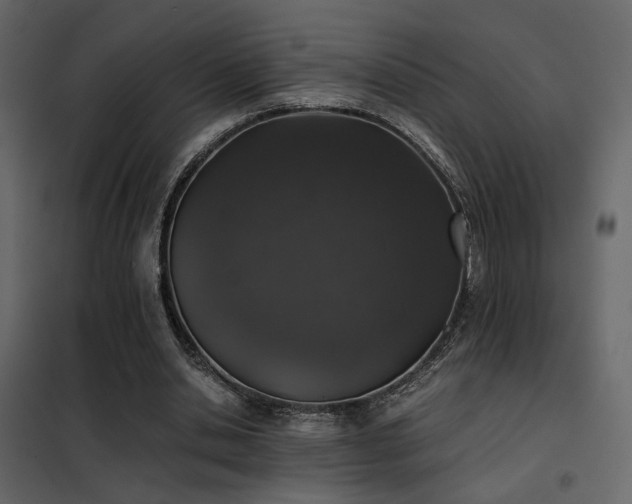 X0000102520438200808081431