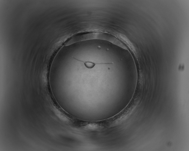 X0000102520441200808081431