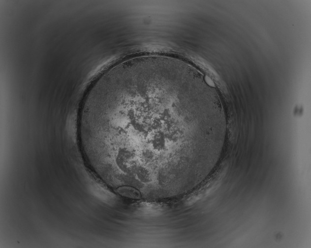 X0000102520442200808081431