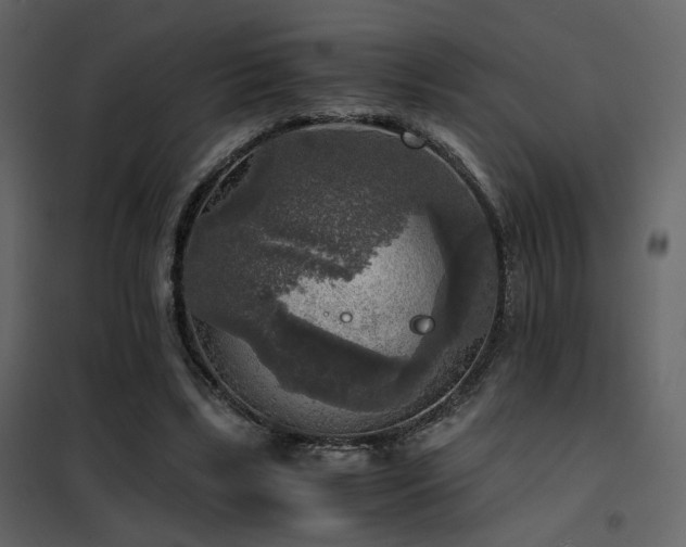 X0000102520443200808081431