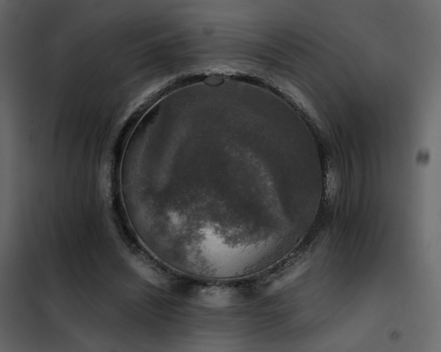 X0000102520444200808081431