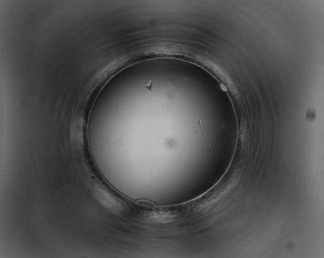 X0000102520445200808081431