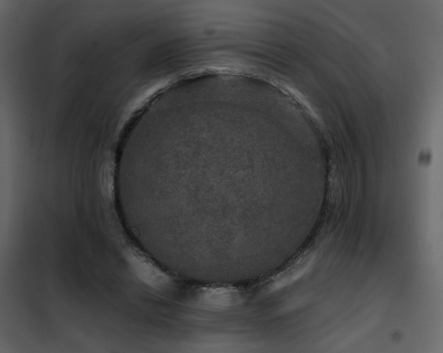 X0000102520446200808081431