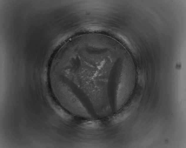 X0000102520447200808081431