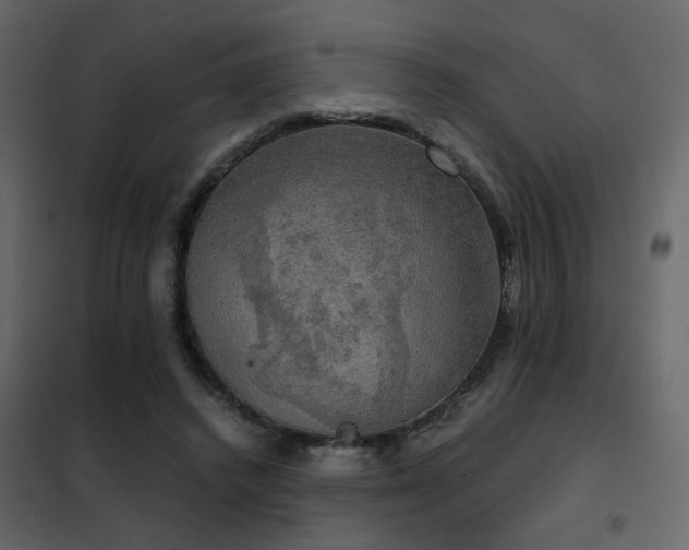 X0000102520448200808081431