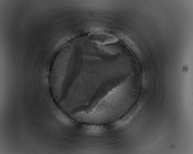 X0000102520449200808081431