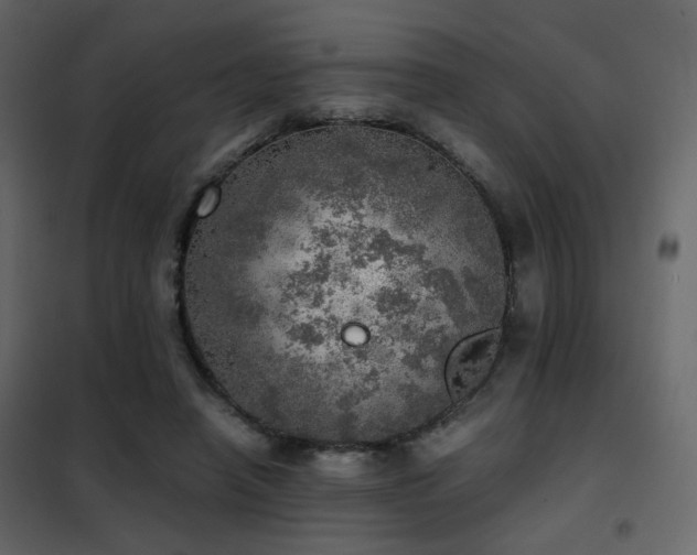 X0000102520450200808081431