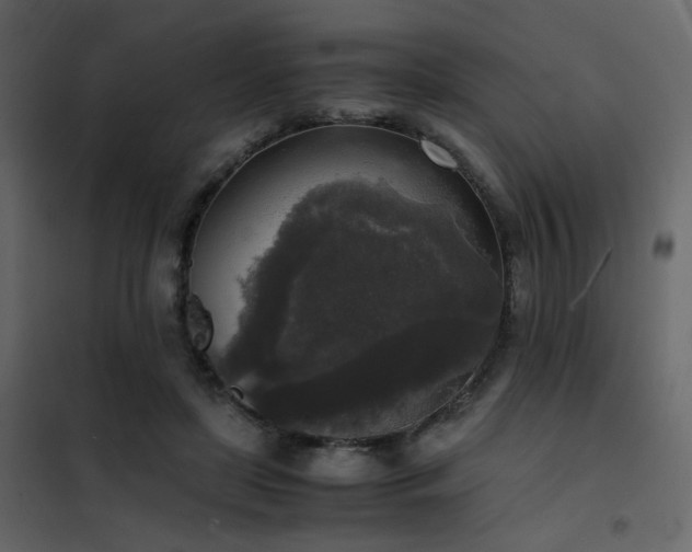 X0000102520451200808081431