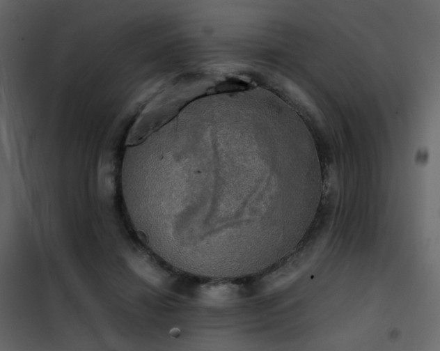 X0000102520452200808081431