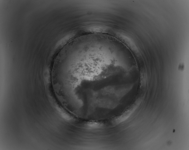 X0000102520453200808081431