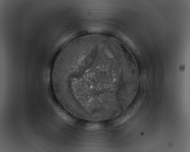 X0000102520454200808081431