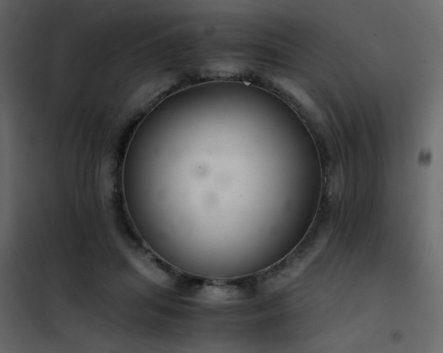 X0000102520455200808081431