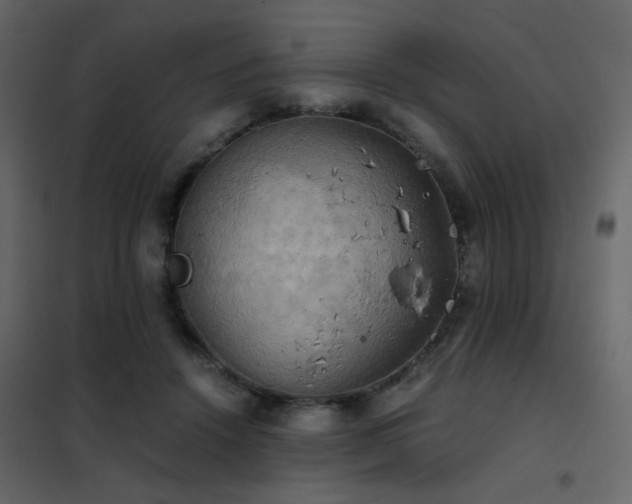 X0000102520456200808081431