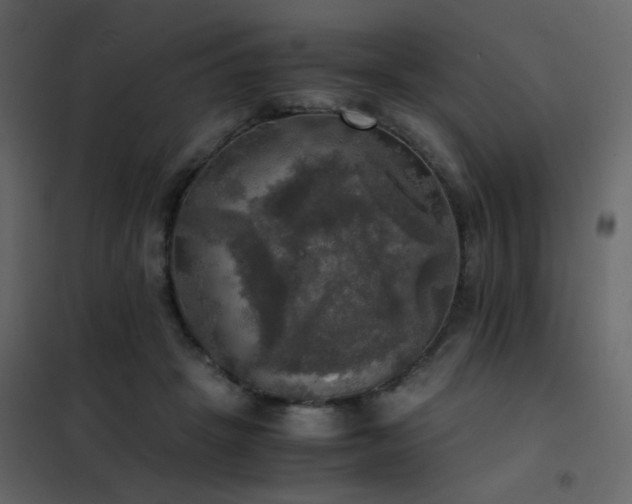 X0000102520457200808081431