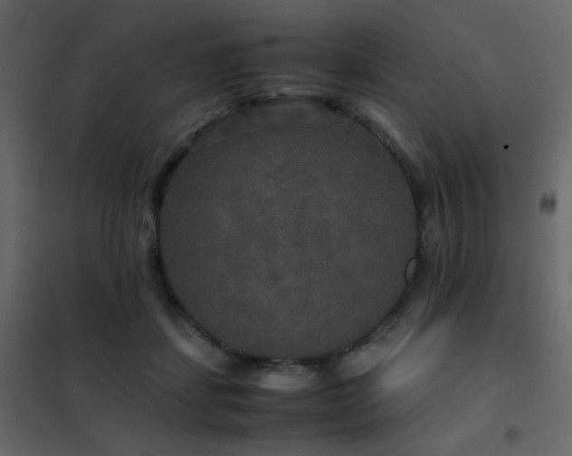 X0000102520459200808081431