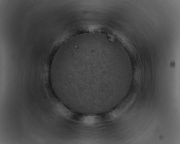 X0000102520461200808081431